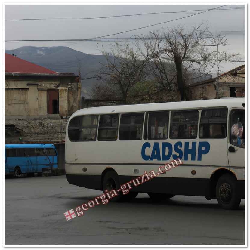 Vladikavkaz tbilisi bus