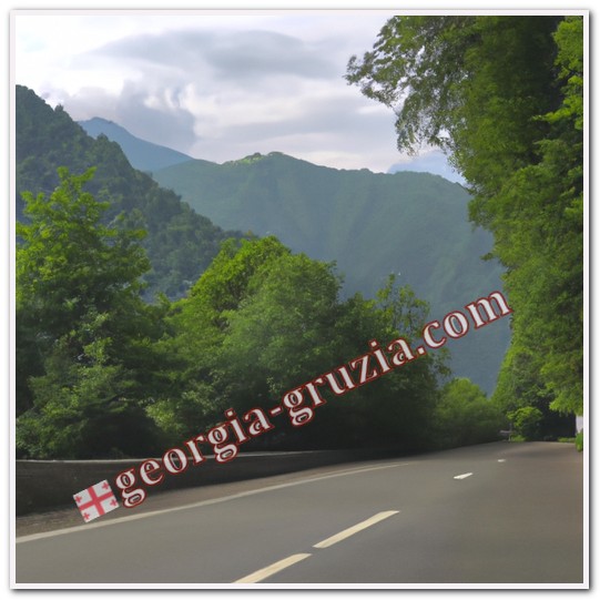 Road to lake ritsa abkhazia video