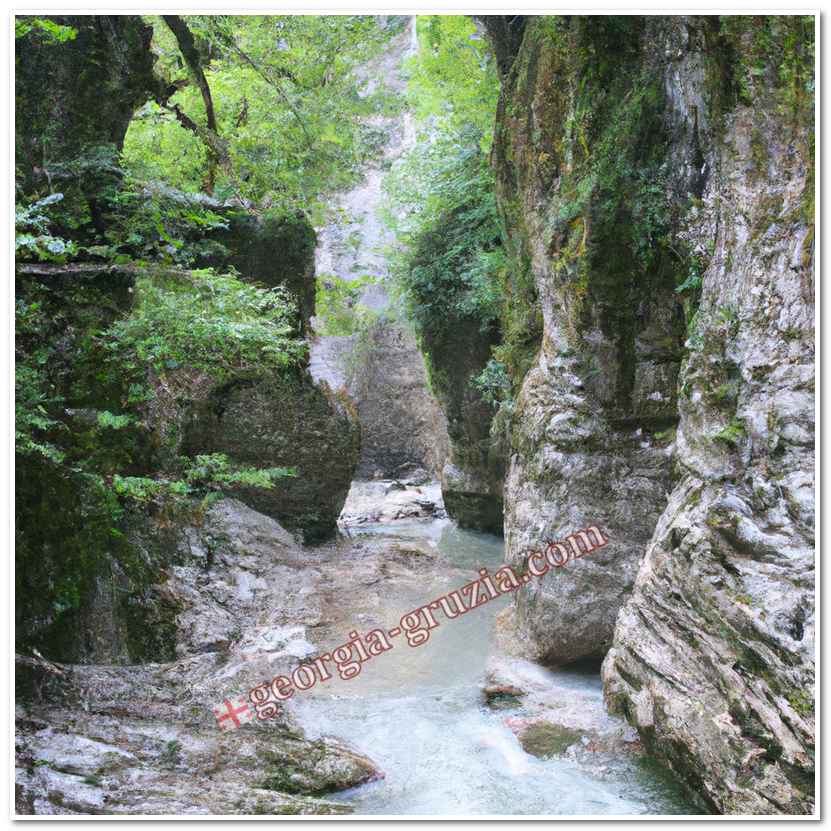 Yupshara canyon abkhazia