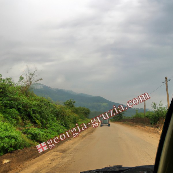 Crossing the border to georgia by car