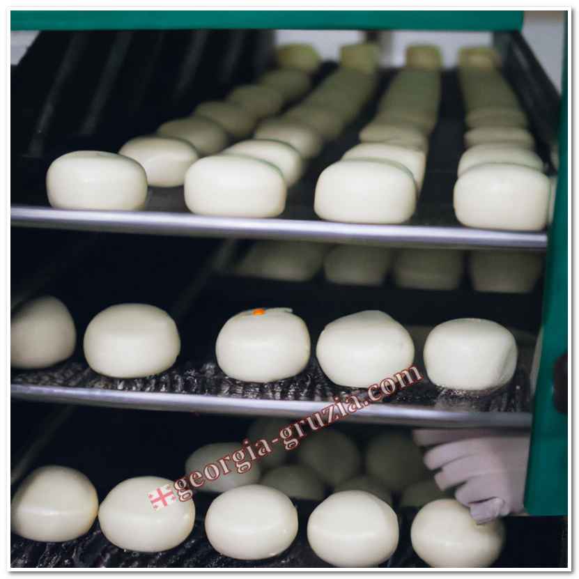 Suluguni cheese production technology