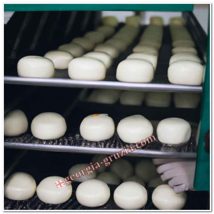 Suluguni cheese production technology Suluguni cheese production technology