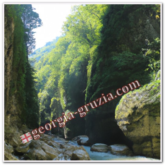 Gorge in abkhazia