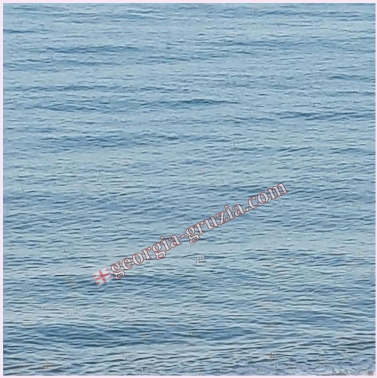 Apartment Desi with sea view