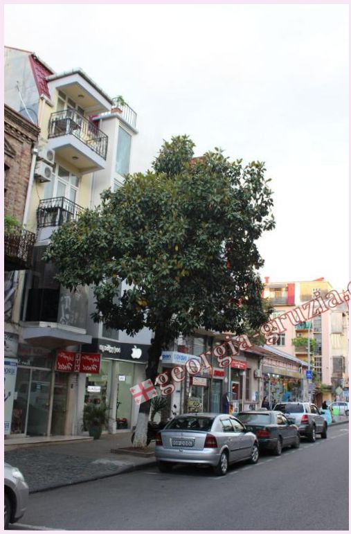 Hotel Dolphin Batumi