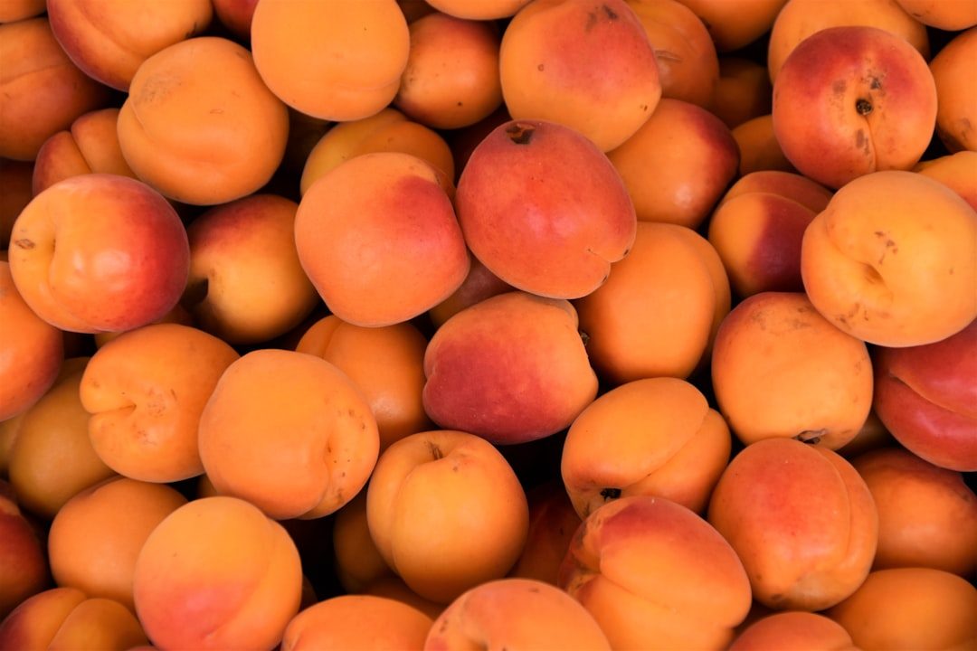 apricot fruits on a market stand of a fruit market yellow and red round fruits