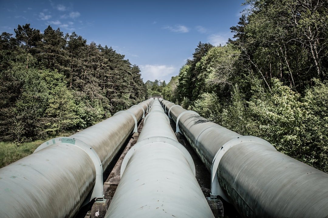 petroleum pipeline industrial a train traveling through a forest filled with lots of trees